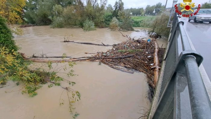 maltempo l agricoltura conta i danni riconoscere lo stato d emergenza
