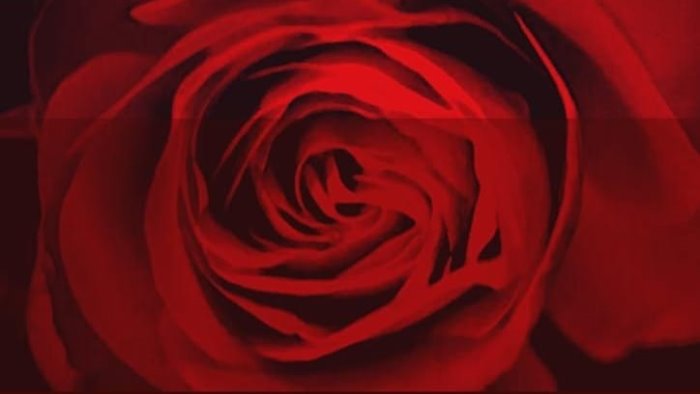 gesualdo musica e parole dedicate alle vittime di femminicidio