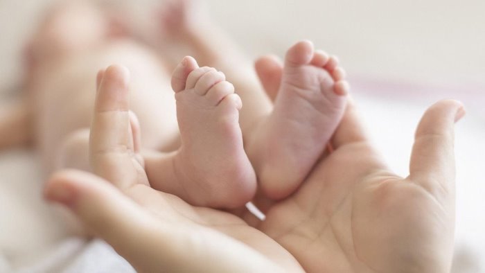 castelnuovo cilento dona 300 euro per ogni nato l iniziativa e del comune