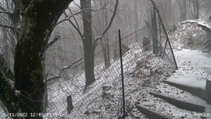 nevica in irpinia fiocchi bianchi a montevergine e temperature artiche