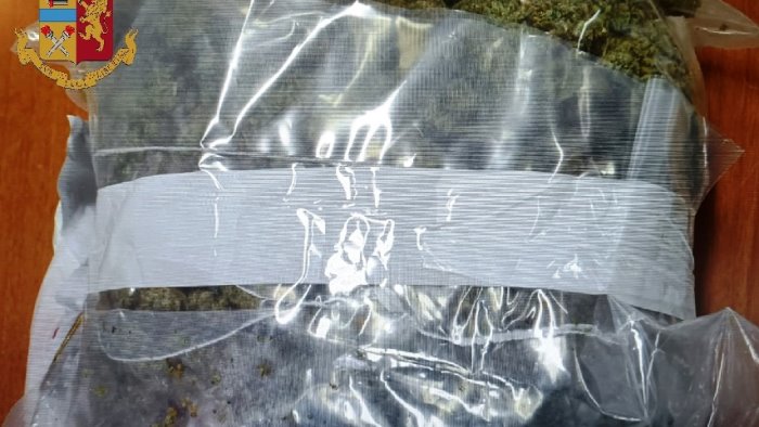torre annunziata sequestrati circa 800 grammi di marijuana