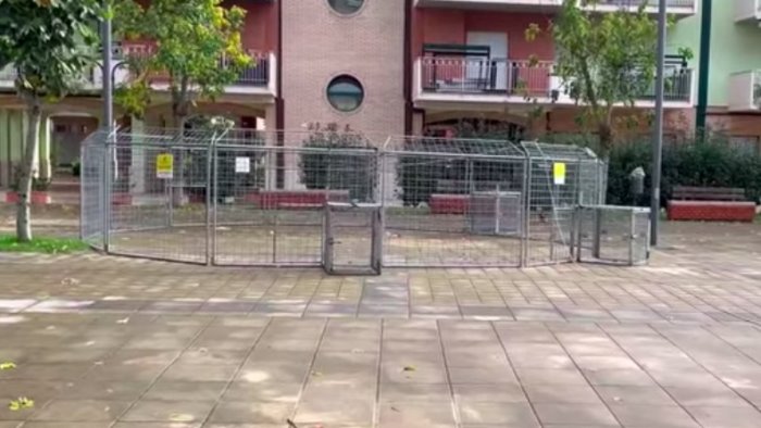 baronissi ferrara cani vaganti nel quartiere nuova irno sono pericolosi