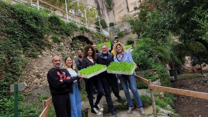 orto sociale al carcere di eboli donate 800 piantine con ortaggi invernali