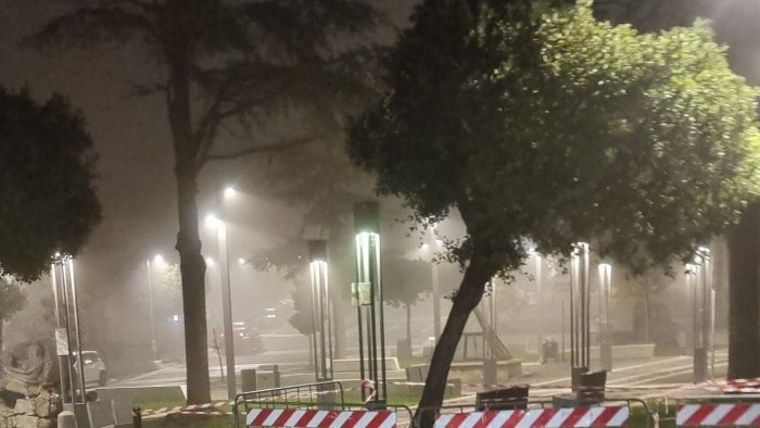 piega un albero mentre fa manovra rintracciato grazie alla videosorveglianza