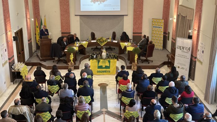 cerro d oro coldiretti celebra l extravergine d oliva e il riconoscimento igp