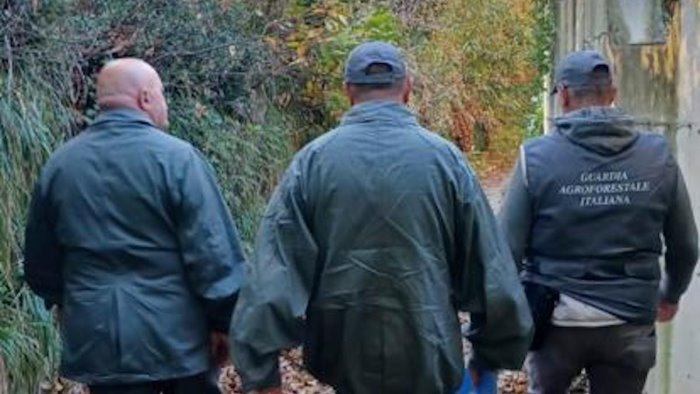 controlli ambientali a marano scoperta auto arrugginita abbandonata nel bosco