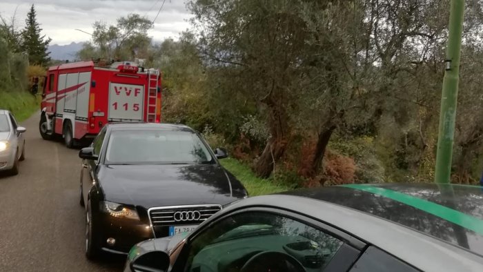 sicignano degli alburni pianta di ulivo si spezza e tocca cavo della corrente