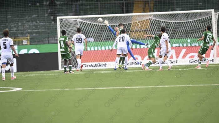 avellino reggiana le probabili formazioni l equilibrio per la continuita