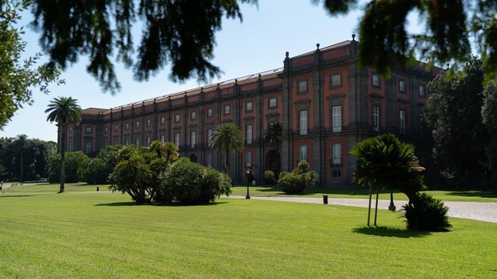 caravaggio mapplethorpe e pasolini danzano a capodimonte