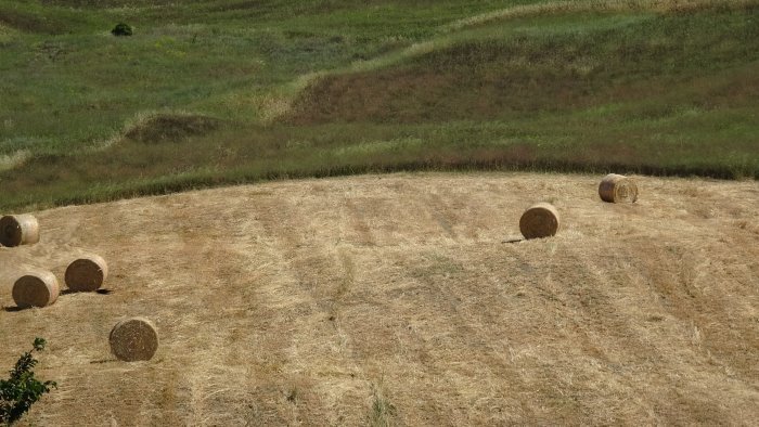 pac cia campania von der leyen rispetti il valore dell agricoltura