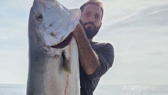 cetara pescata una ricciola di 45 chilogrammi