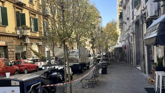 vomero giu le mani dagli storici platani e protesta