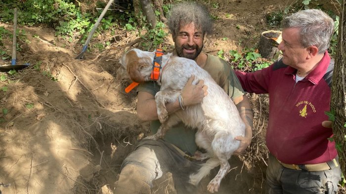 cane da caccia finisce in una cavita profonda salvato dai vigili del fuoco