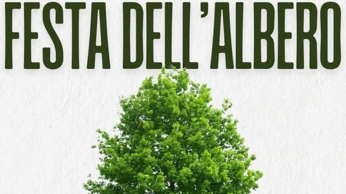 festa dell albero inaugurazione ad avellino il 20 novembre