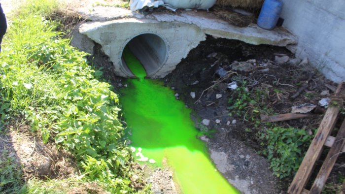 reflui zootecnici nel canale che diventa di colore verde scatta il sequestro