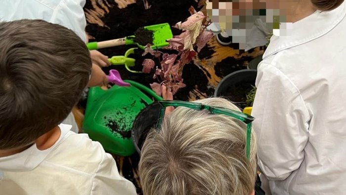 aiello del sabato i carabinieri alla festa nazionale dell albero 2025