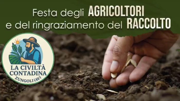 festa degli agricoltori e del ringraziamento del raccolto zungoli si prepara