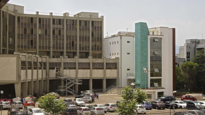 vieni ti presento una persona quanto e bella la liberta