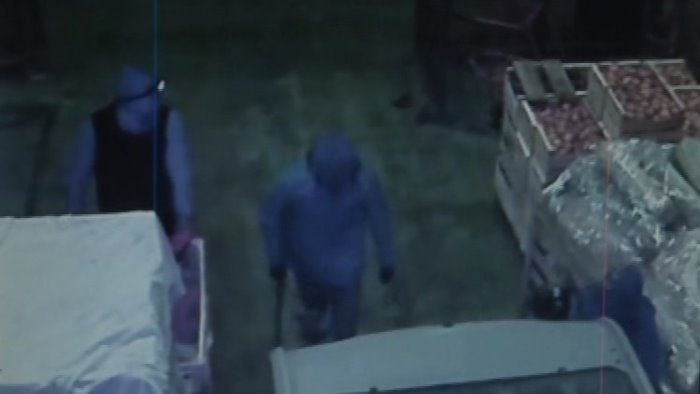 raid al mercato ortofrutticolo di pagani nocera