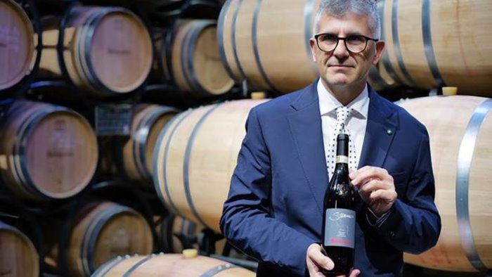 stilema taurasi docg riserva eletto vino dell anno campioni del mondo