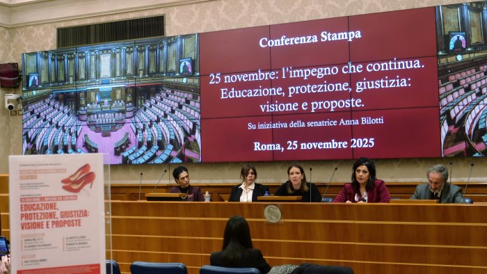 violenza donne la senatrice anna bilotti annuncia un disegno di legge