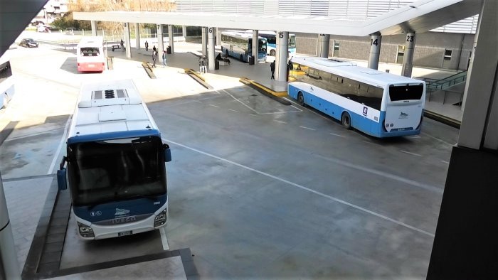 avellino autostazione ennesima aggressione nei confronti di un autista