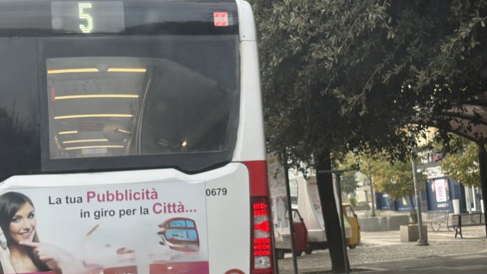 viale principe di napoli alberi non potati un residente servono i dpi foto