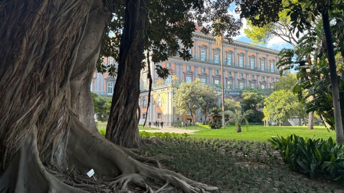 rinasce il giardino romantico di palazzo reale a napoli
