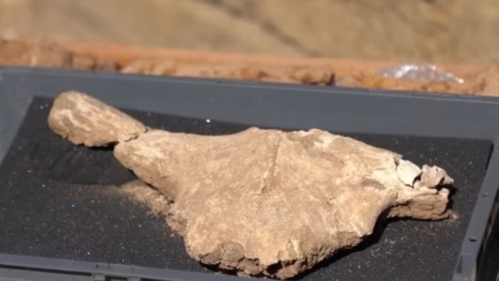 velia continua a stupire portata alla luce l offerta votiva alla dea atena