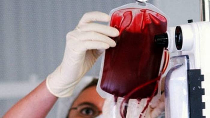 trasfusione di sangue a testimone di geova medici assolti