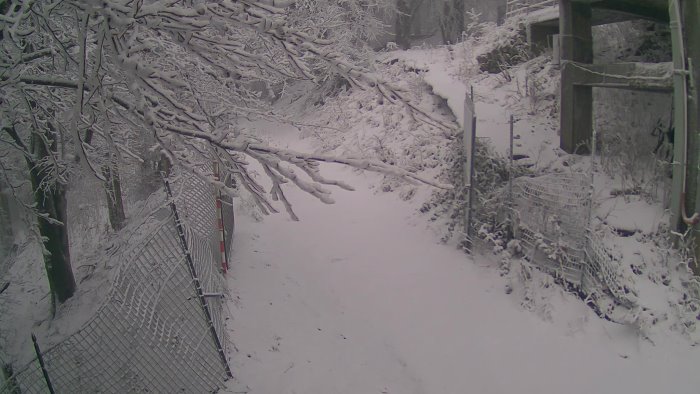 torna la neve in irpinia fiocchi bianchi a montevergine