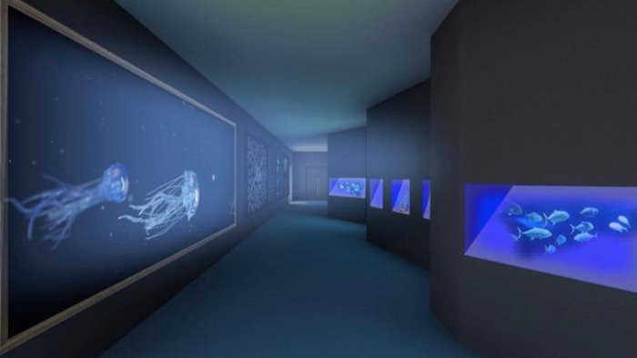 presto a castellabate un nuovo acquario virtuale