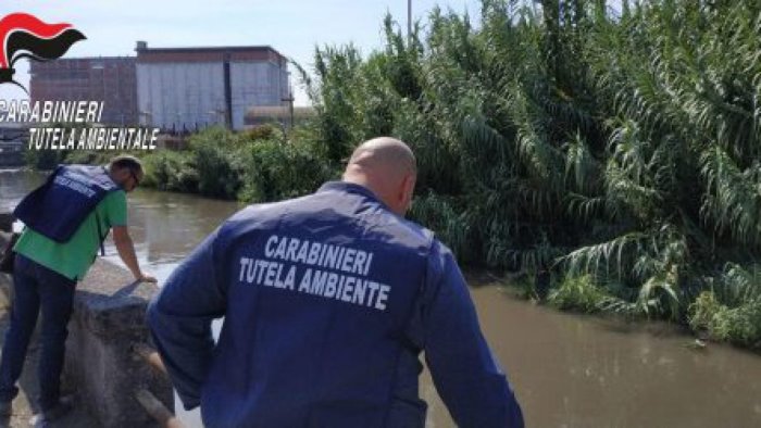 controlli fiume sarno ministro costa ringrazia i carabinieri