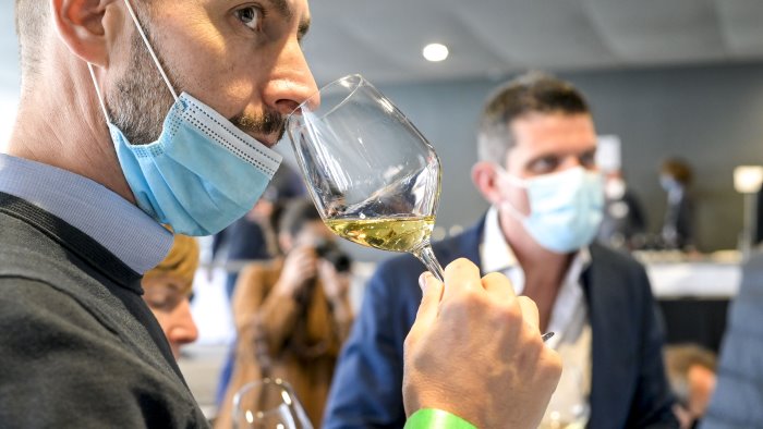 vini docg irpini sottocosto coldiretti danni di immagine