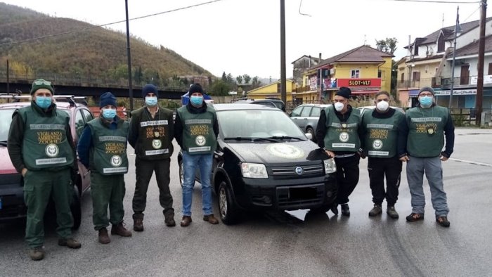 hanno ucciso un cane indagini in corso a colliano