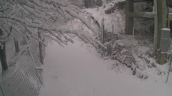 torna la neve in irpinia fiocchi bianchi e gelo artico a montevergine