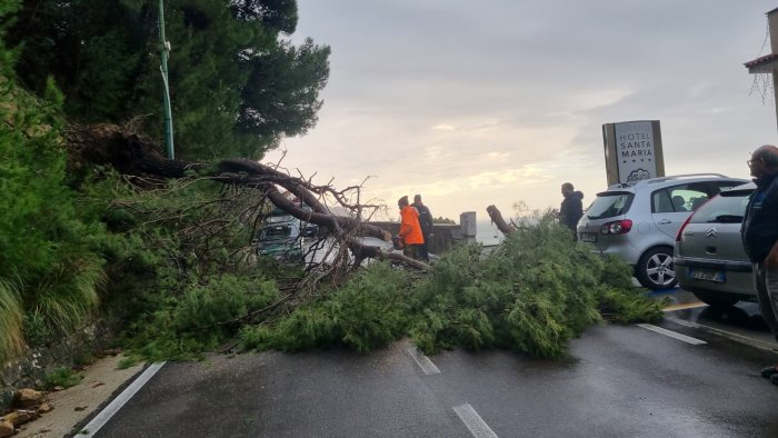 maltempo nel cilento albero cade in strada sfiorata un auto