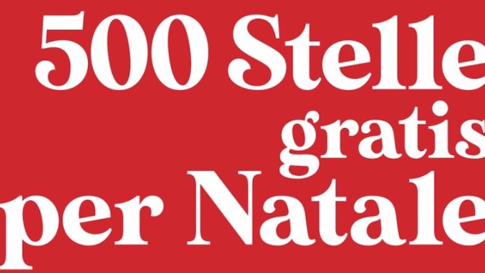 da scarti dei rifiuti a stelle di natale il comune regala 500 piante