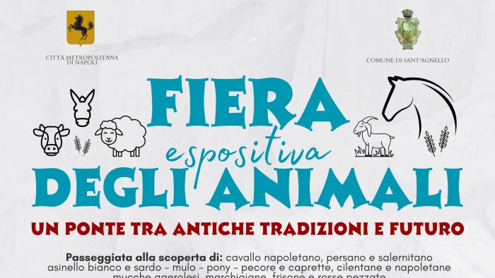 sant agnello la festa del santo patrono riscopre le antiche tradizioni