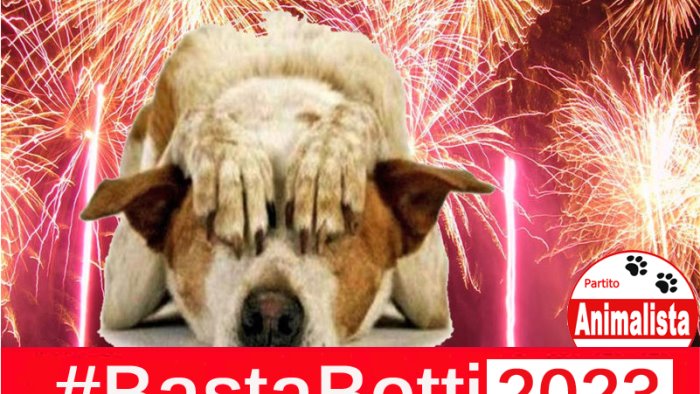 basta botti 2023 ancora poche le ordinanze che vietano i fuochi in campania