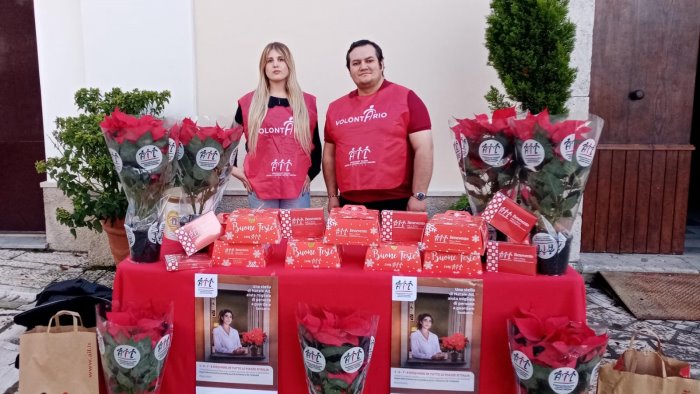 un grande successo per la campagna stelle di natale ail 2025