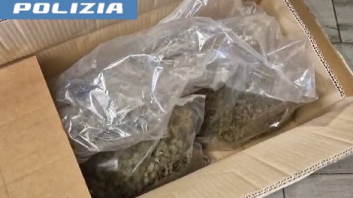 salerno la polizia sequestra oltre 5 chili di prodotti a base di cannabis