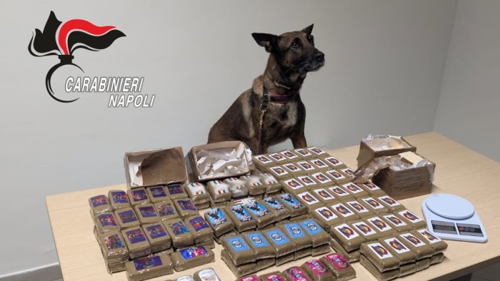 scampia trovata tanta droga ma anche un nuovo appartamento popolare