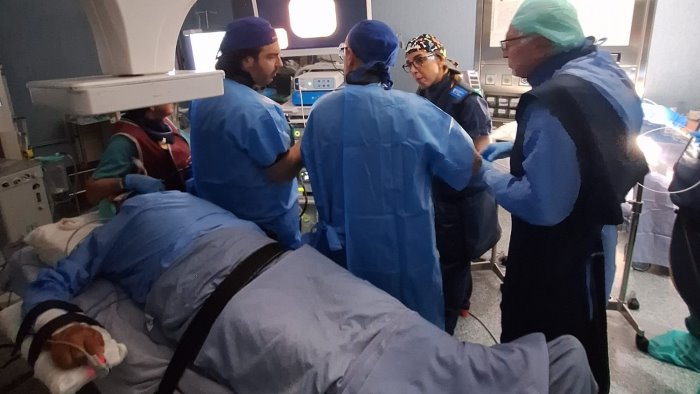 buona sanita intervento endoscopico all avanguardia all ospedale di ariano