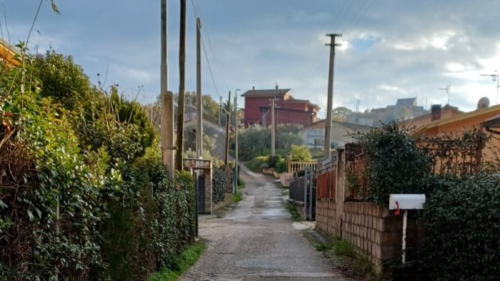 ariano gatti trovati morti davanti a due abitazioni si teme presenza di veleno