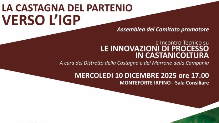 la castagna del partenio verso l igp focus a monteforte irpino