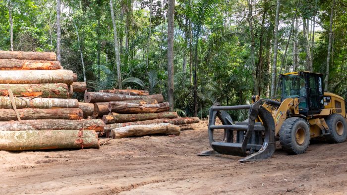 contratto collettivo forestazione 2025 2028 accordo raggiunto