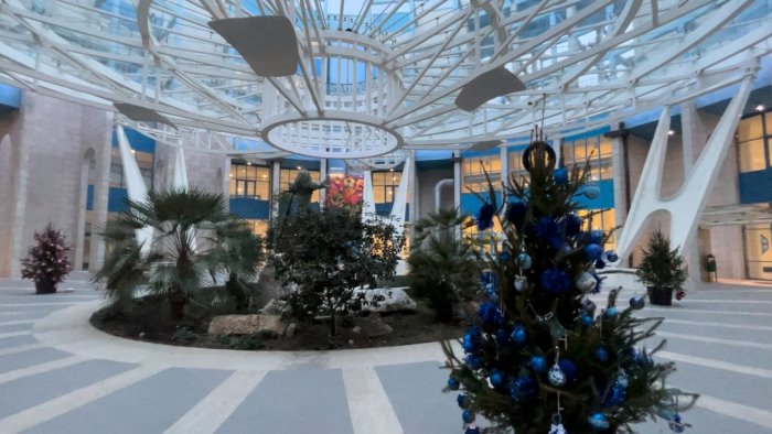 avellino pronti all addobbo alla citta ospedaliera gli alberi della prevenzione