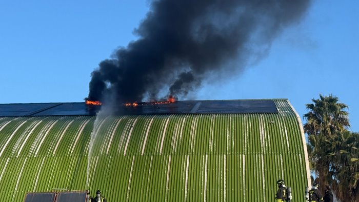disastro al palazzetto dello sport incendio sul tetto la struttura e inagibile