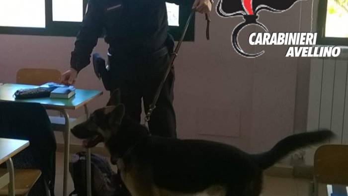 calitri cani antidroga a scuola studentessa con la marijuana